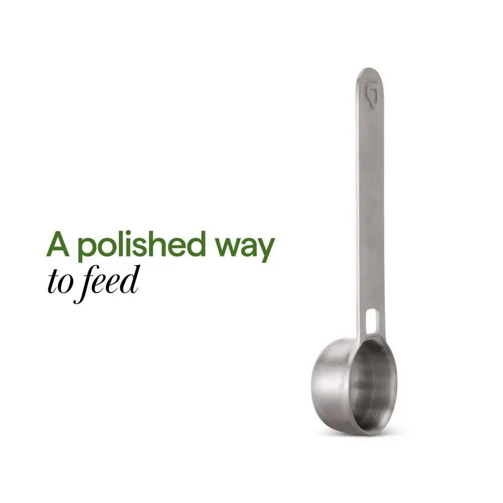 Stainless Steel Infant Formula Scoop, Microplastic-Free Certified