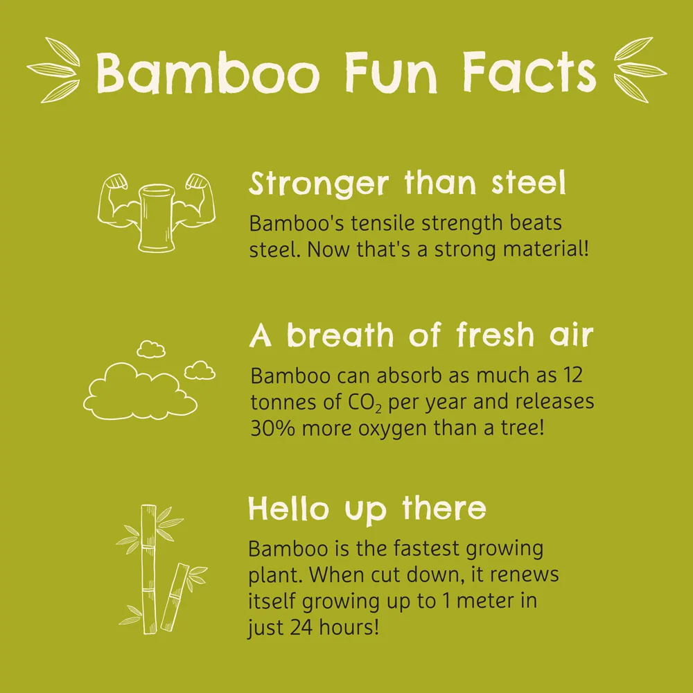 Bambou™ Divided Toddler Plate with Suction Base, Bamboo Dinnerware